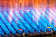 Woollaton gas fired boilers